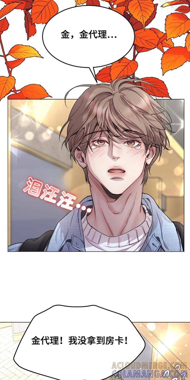 《虚情假意》第140章：都别争了 第19页