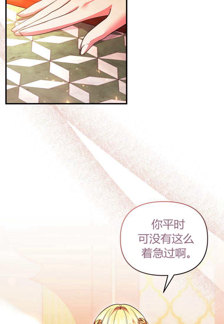 成为苏尔坦珍爱的猫咪 第41话 第62页