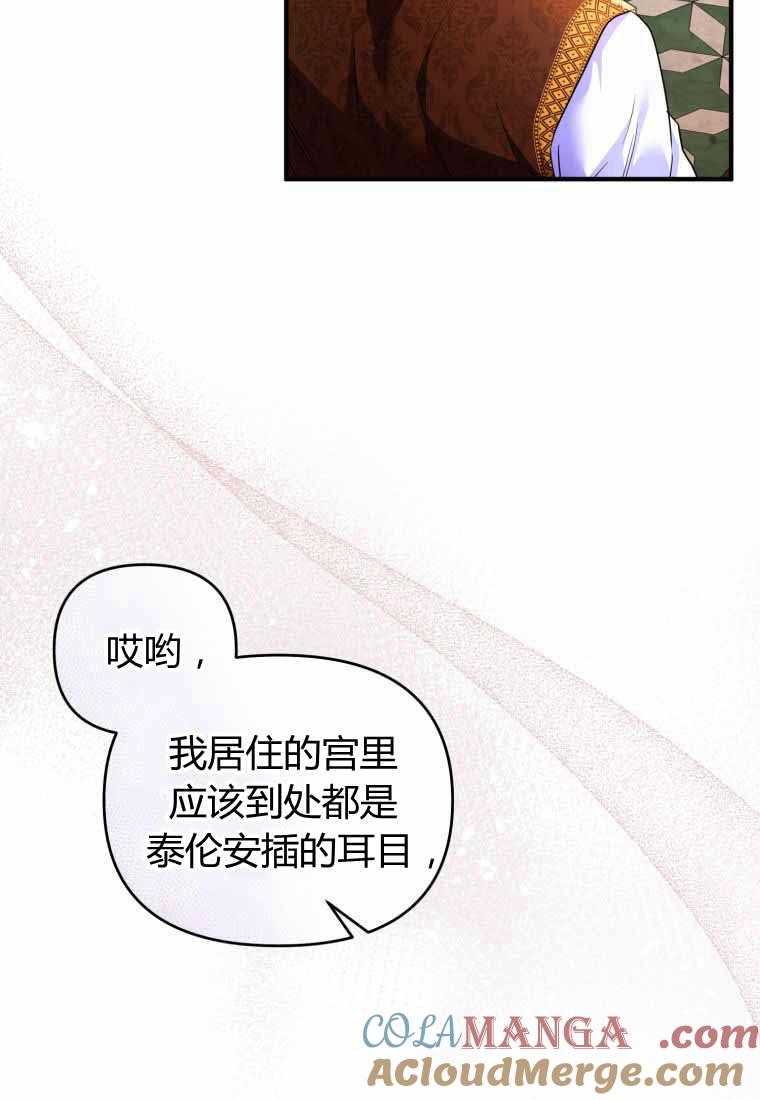 成为苏尔坦珍爱的猫咪 第41话 第43页
