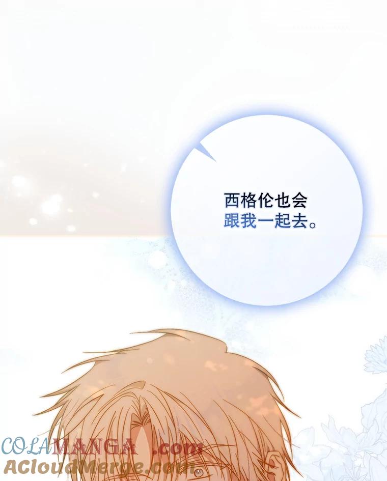 成为我笔下男主之妻 105.寻找记忆的碎片 第29页