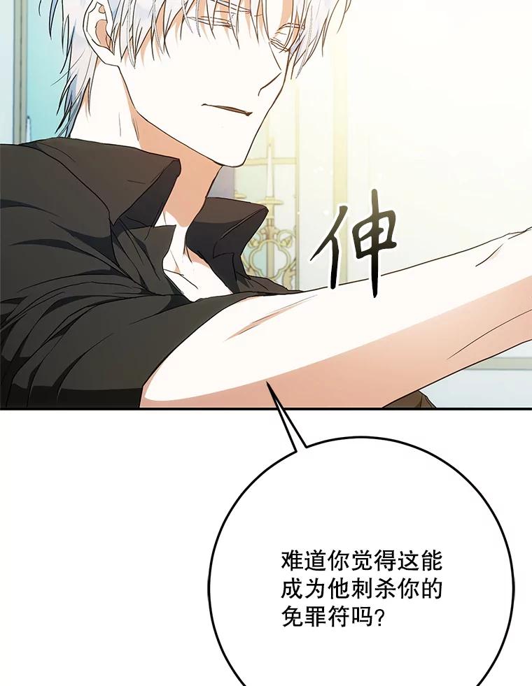 成为我笔下男主之妻 111.四个要求 第99页