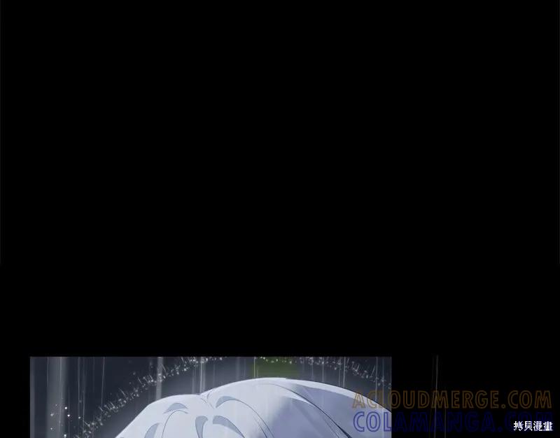 《明明是冷美人小姐却变成了忠犬大少爷》第96话 第205页