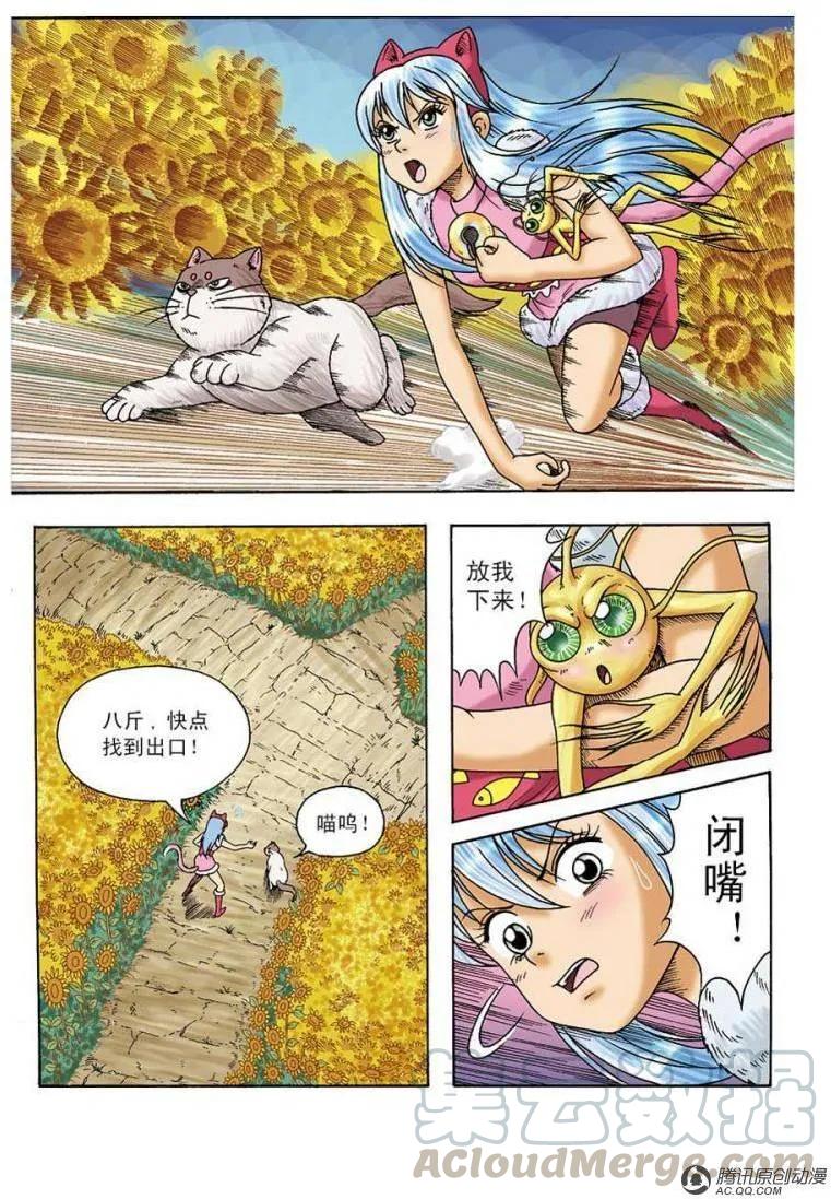 16.jpg