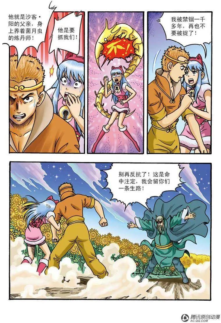 12.jpg