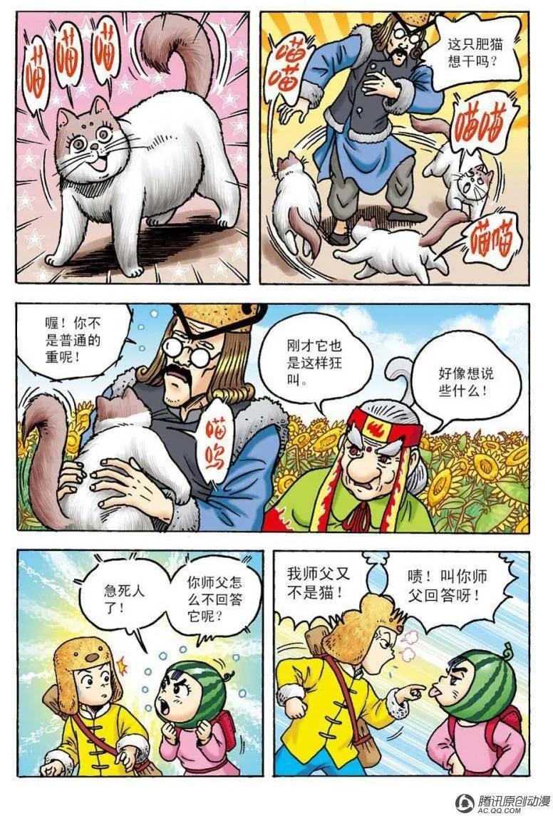 8.jpg