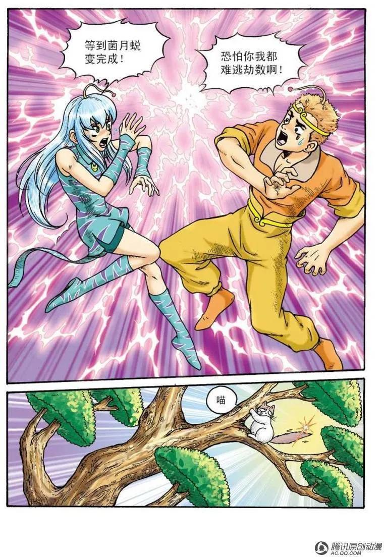 18.jpg