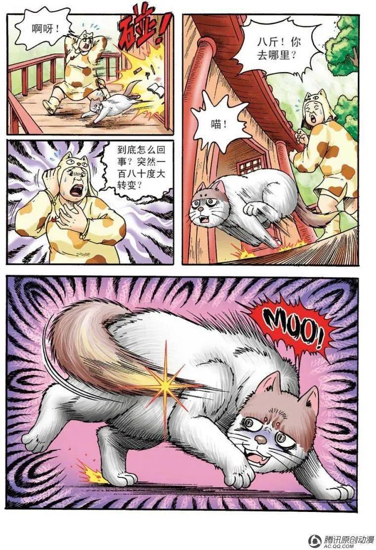 14.jpg