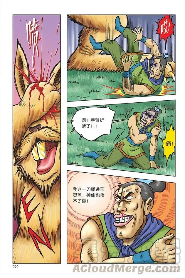 16.jpg