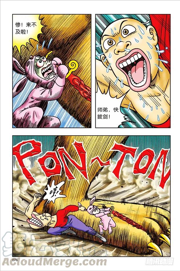 19.jpg