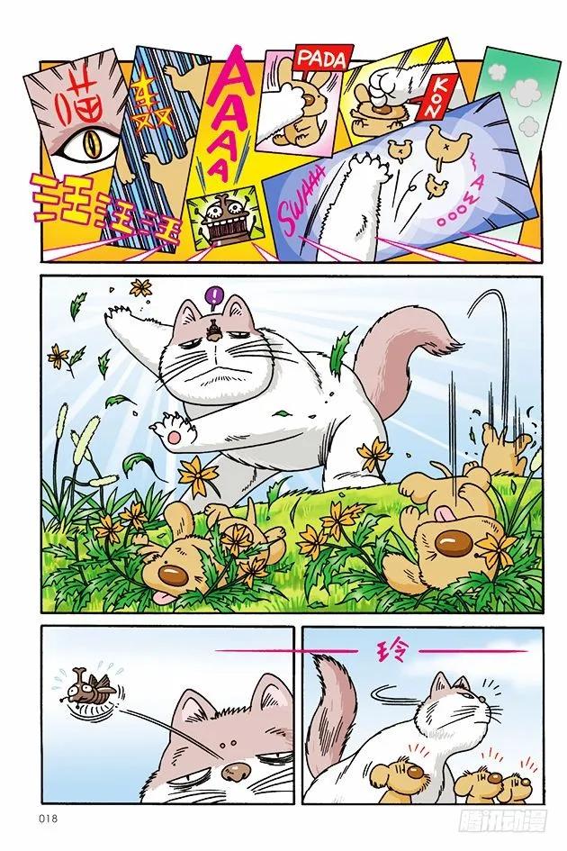 14.jpg