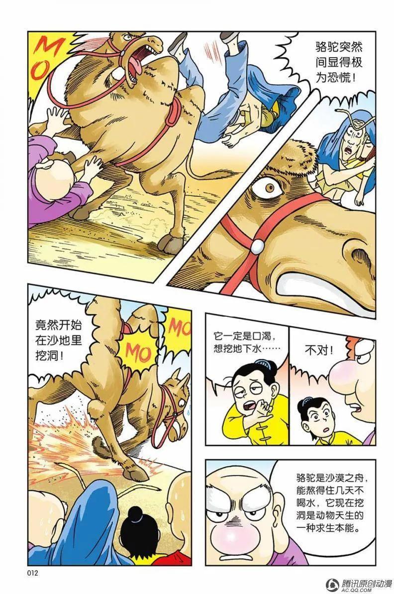 6.jpg