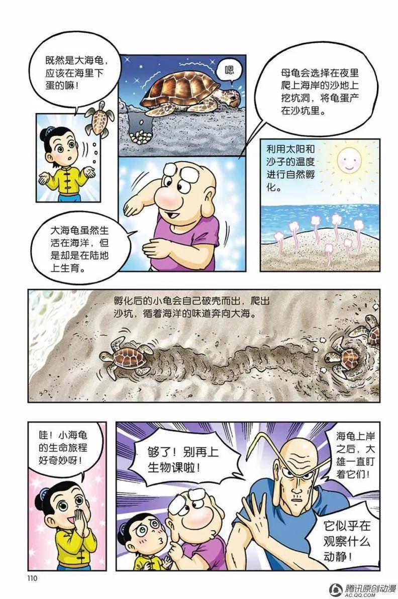 17.jpg