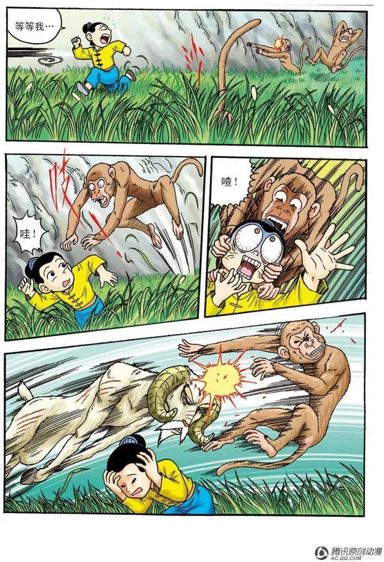 15.jpg