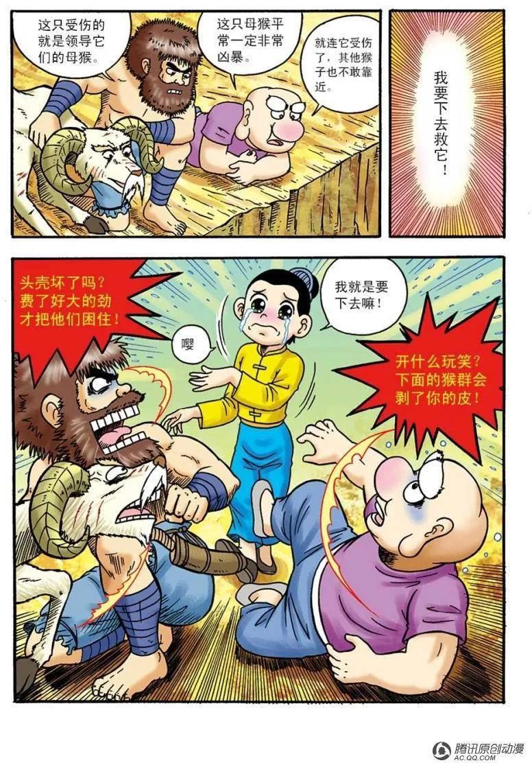 15.jpg