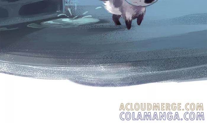 《吾猫当仙》预告 第37页