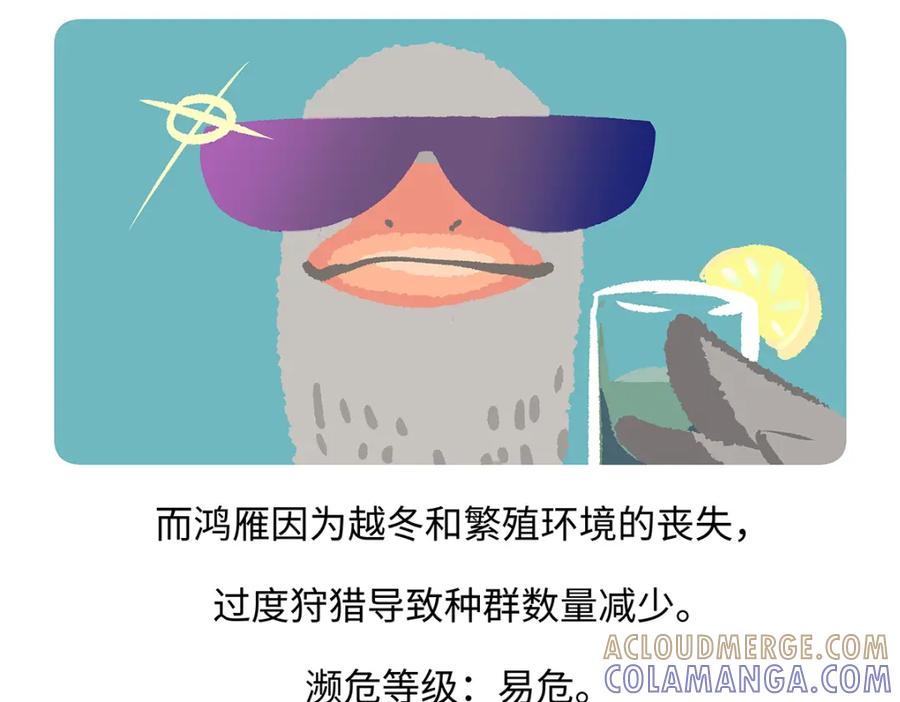 《胖达x胖达》第261话 第25页