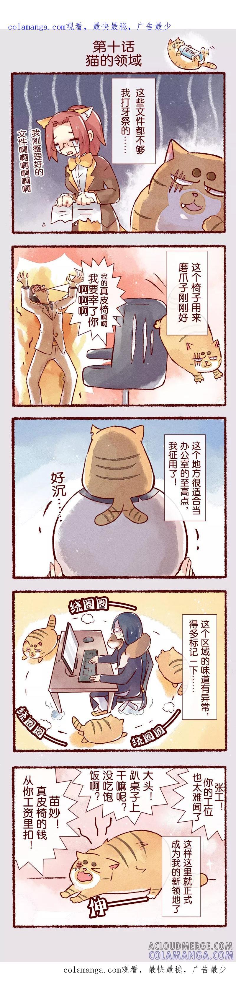 《吾名社会黄》第10话 猫的领域 第1页