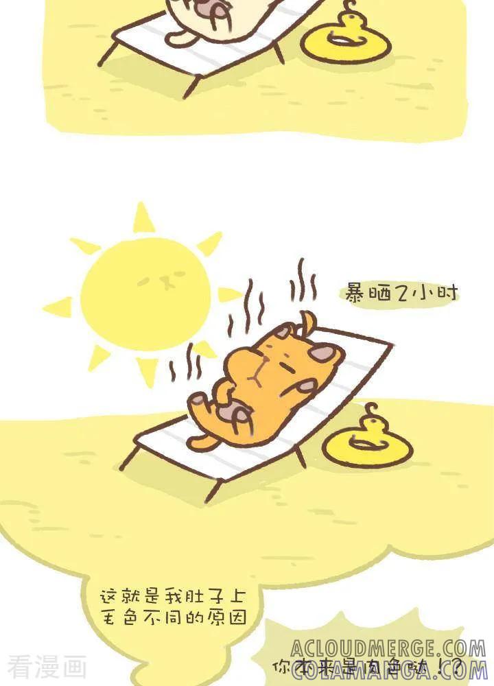 《抖抖村》一百零四话 造型 第2页