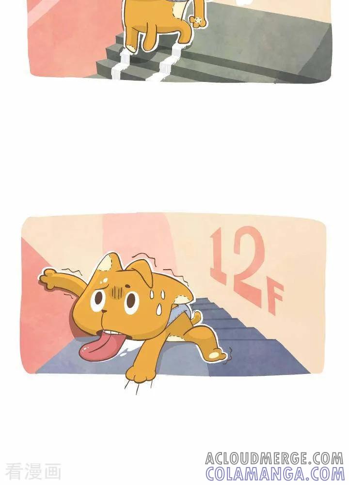 《抖抖村》一百一十五话 电梯 第2页