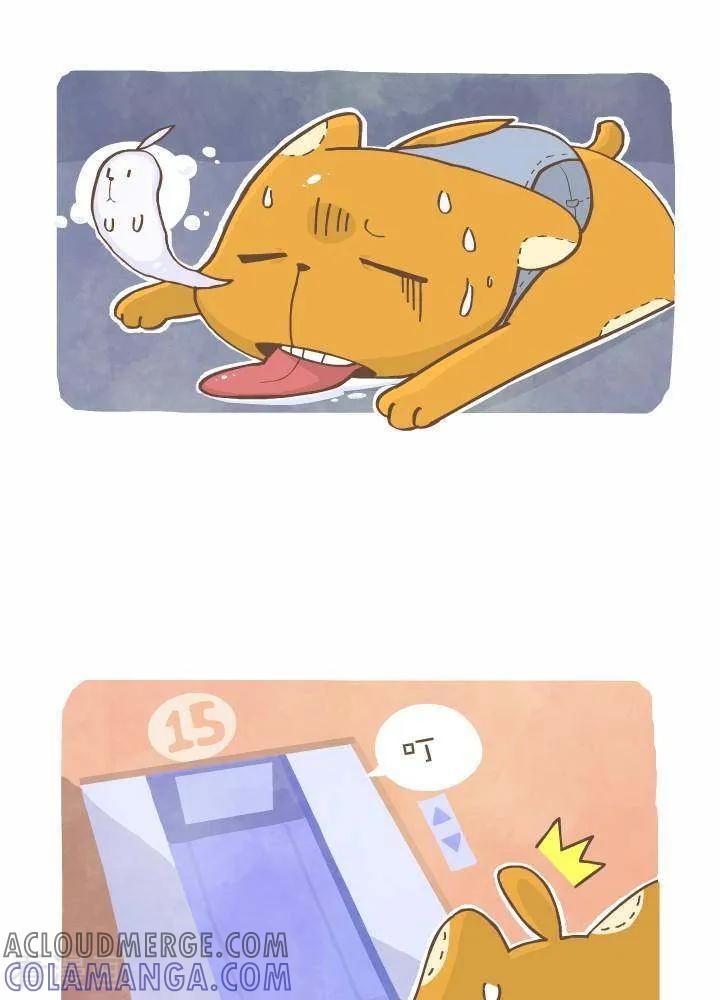 《抖抖村》一百一十五话 电梯 第3页
