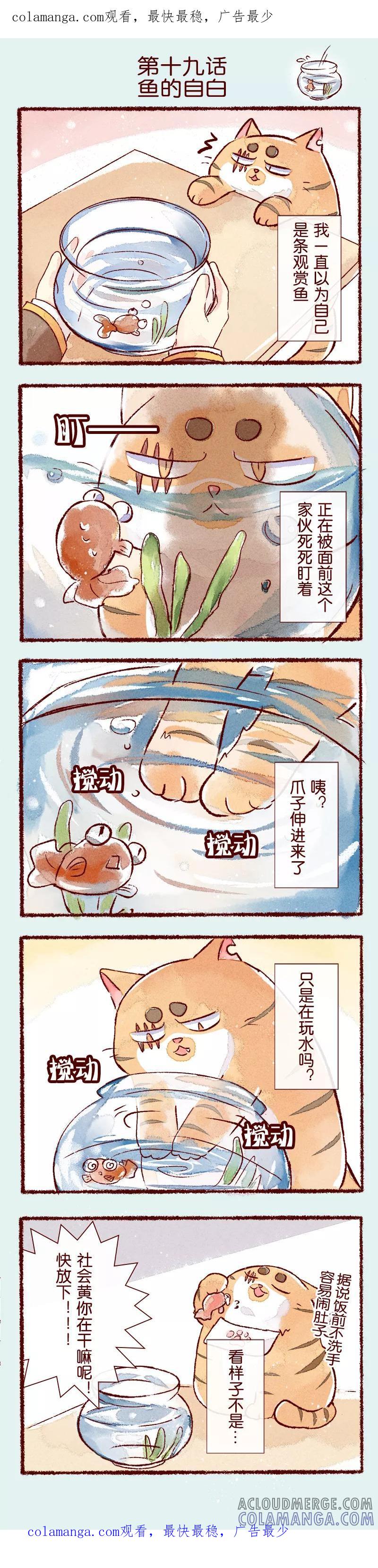 《吾名社会黄》第19话 鱼的自白 第1页