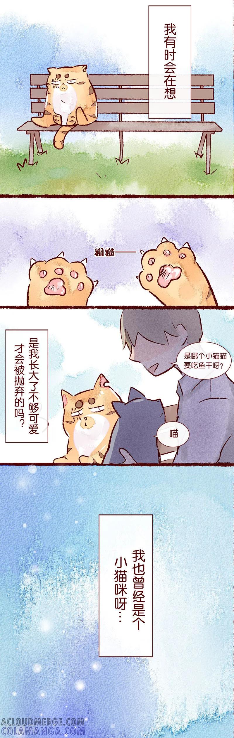 《吾名社会黄》儿童节特别篇 记忆碎片 第3页