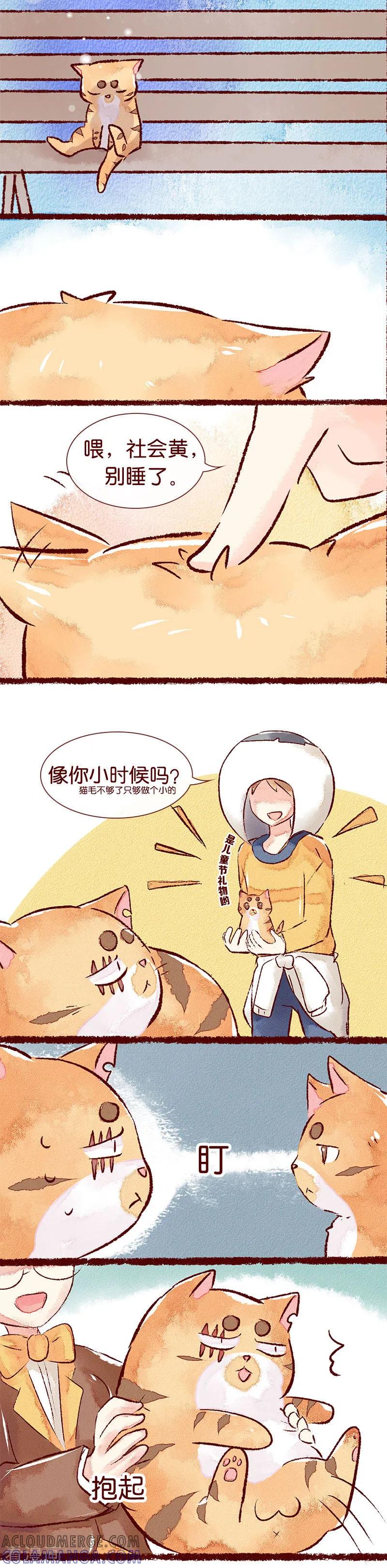 《吾名社会黄》儿童节特别篇 记忆碎片 第4页