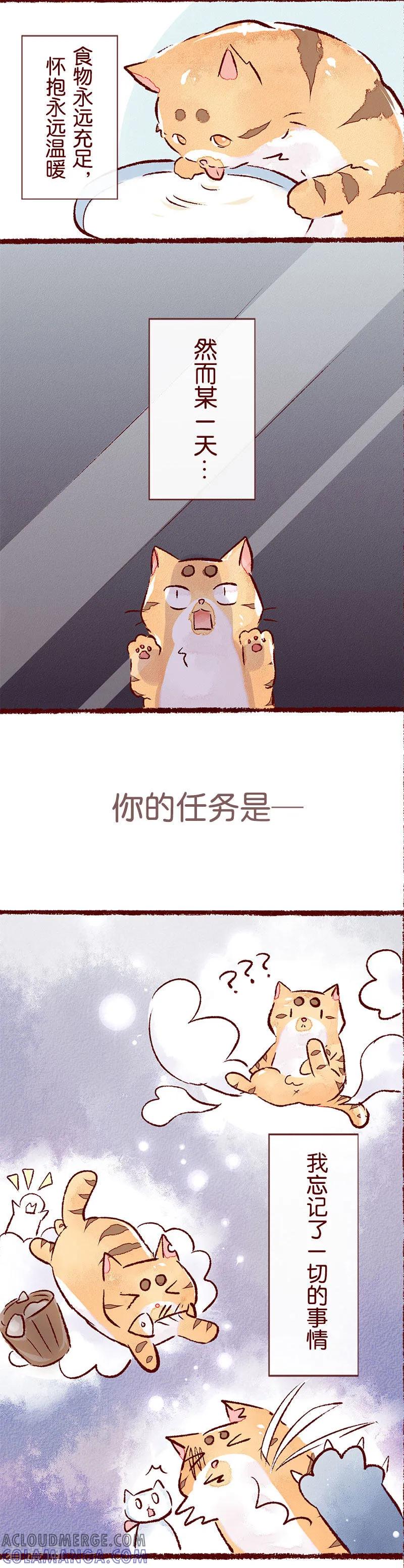《吾名社会黄》儿童节特别篇 记忆碎片 第2页