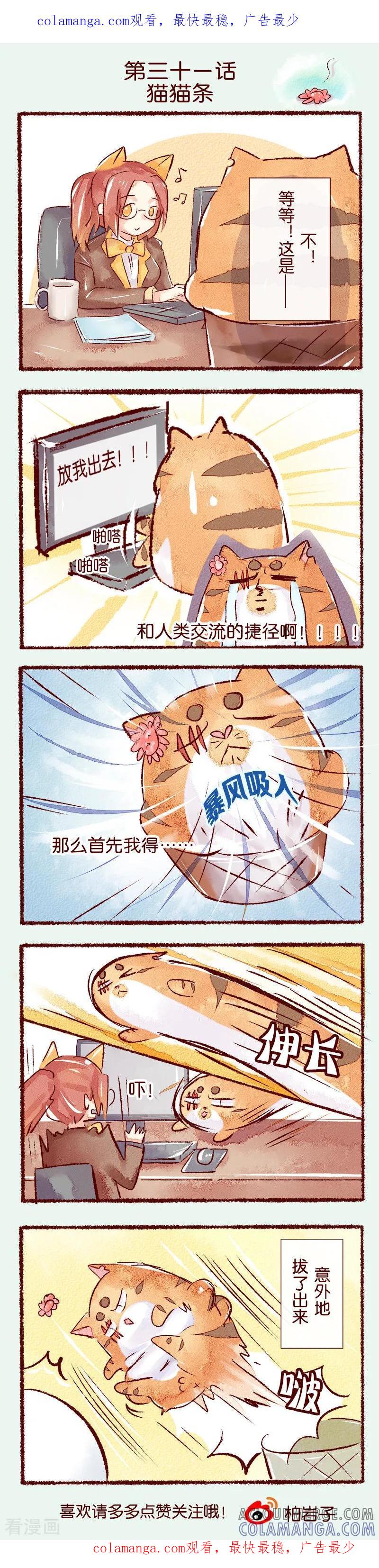 《吾名社会黄》第31话 猫猫条 第1页