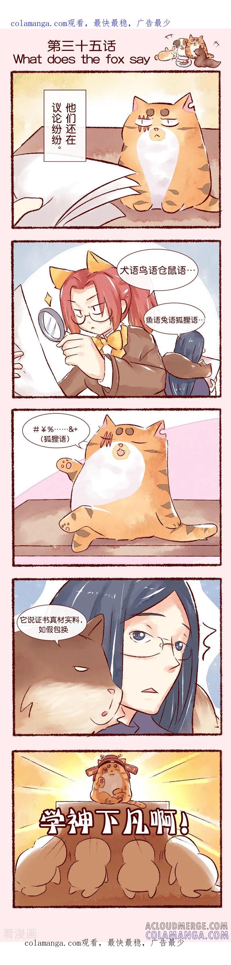 《吾名社会黄》第35话 What does the fox say 第1页