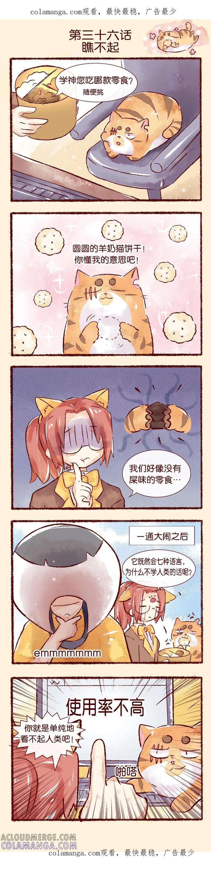 《吾名社会黄》第36话 瞧不起 第1页