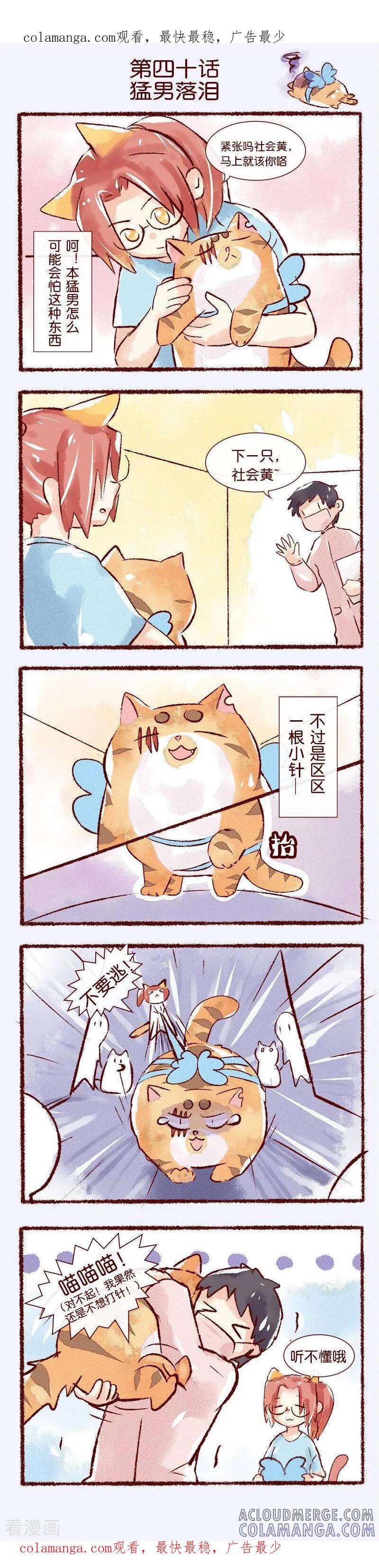 《吾名社会黄》第40话 猛男落泪 第1页