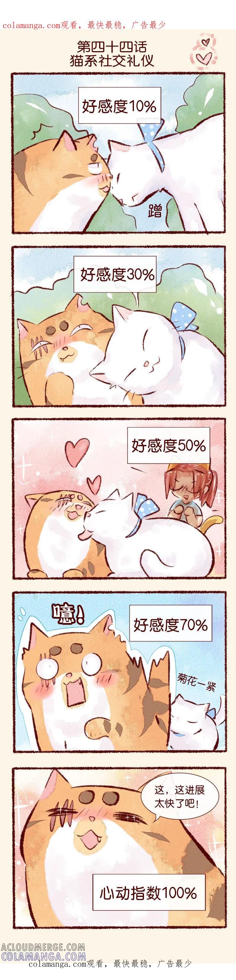 《吾名社会黄》第44话 猫系社交礼仪 第1页
