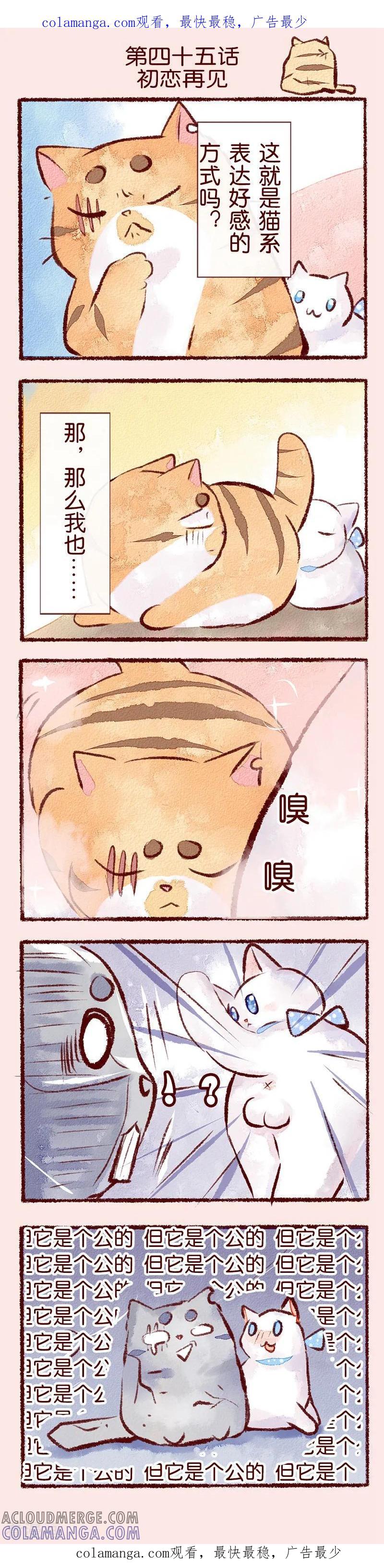 《吾名社会黄》第45话 初恋再见 第1页