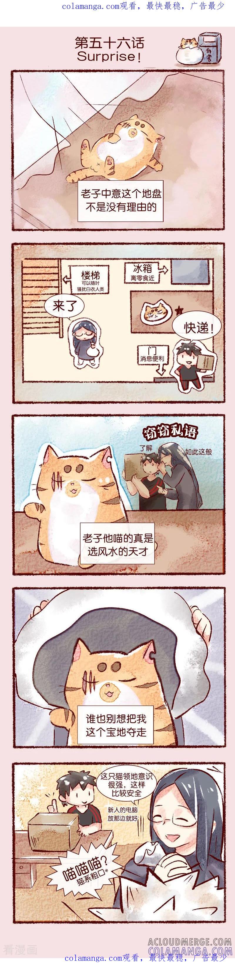 《吾名社会黄》第56话 Surprise！ 第1页