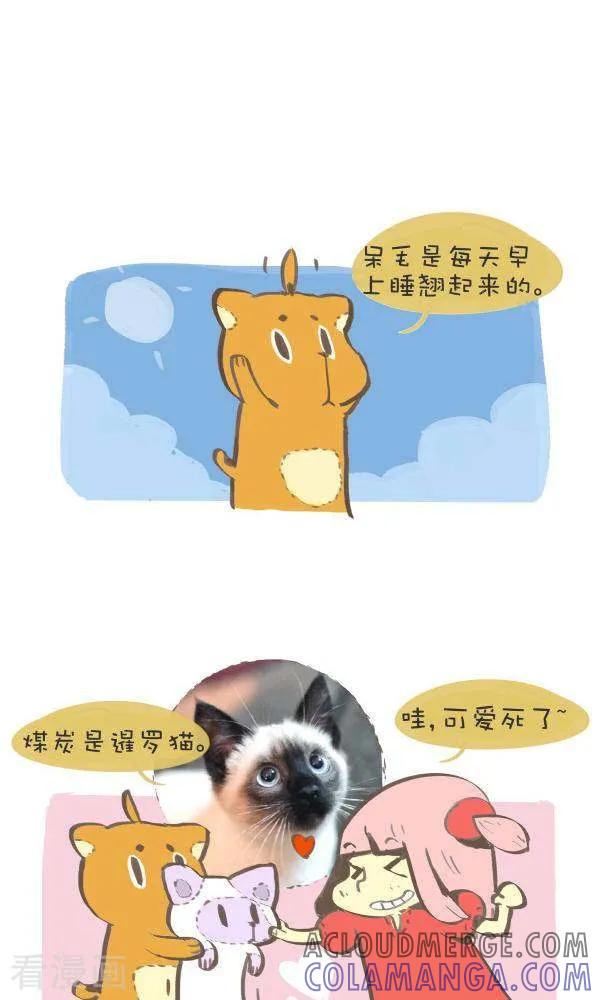 《抖抖村》八十二话 原型 第2页