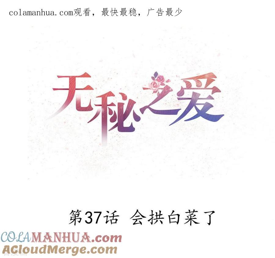 无秘之爱 第37话 会拱白菜了 第1页