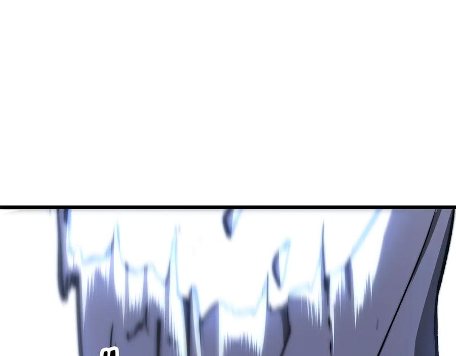 223.jpg