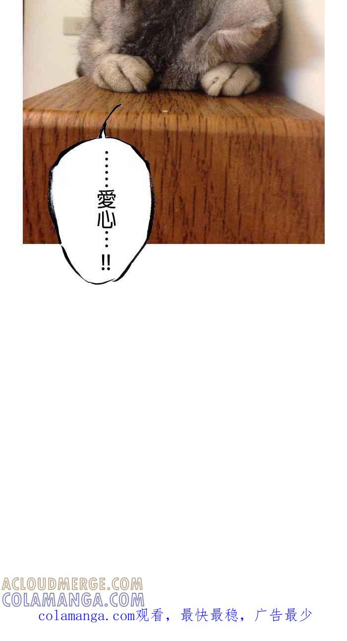 猫剑客 [第75话] 折翼天使 拾捌，血与怒 第43页