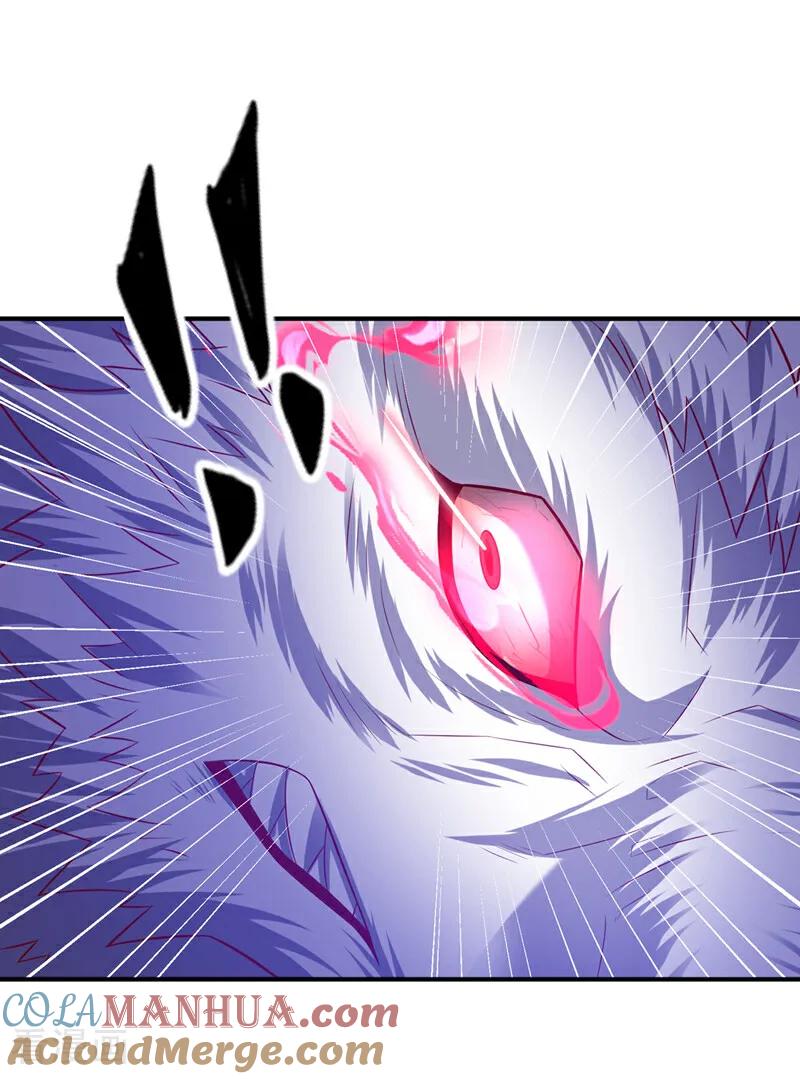 武逆 第374话 去试探一下 第15页