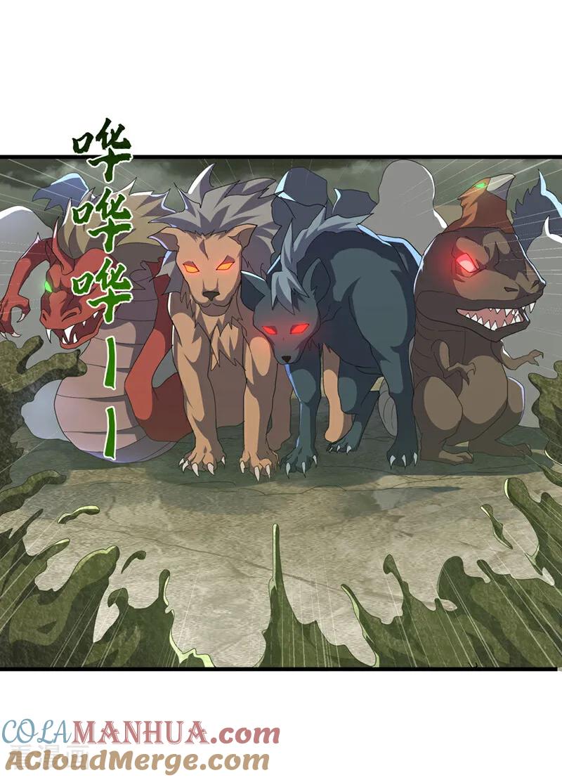 武逆 第380话 是我个人的源脉 第11页