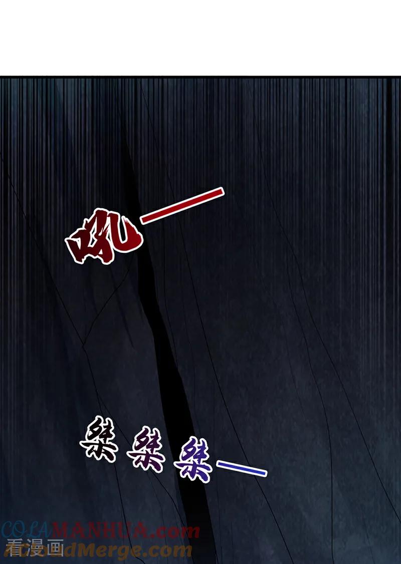 武逆 第459话 这就是玄冥天！ 第29页