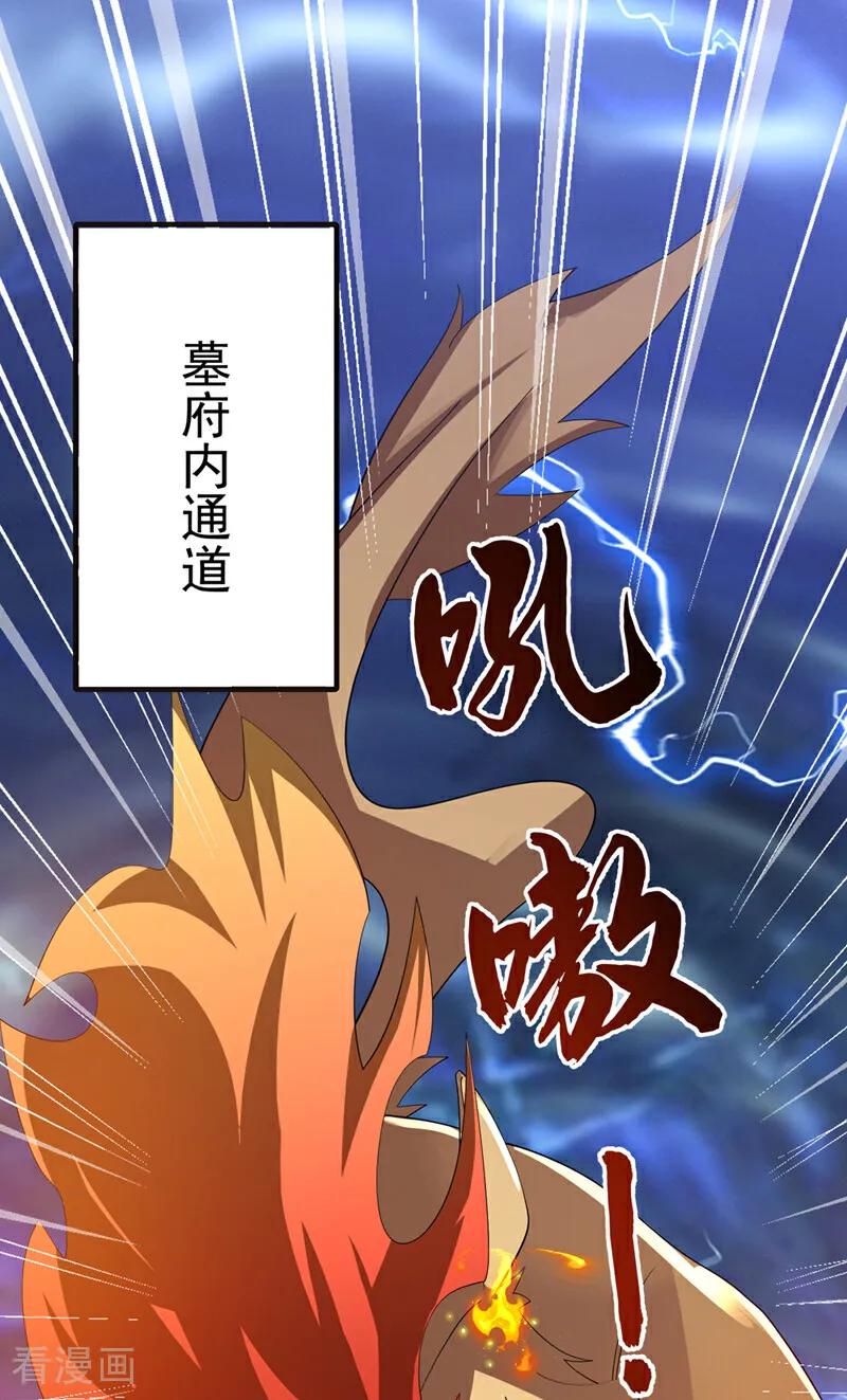 武逆 第482话 仙组织的目标 第4页