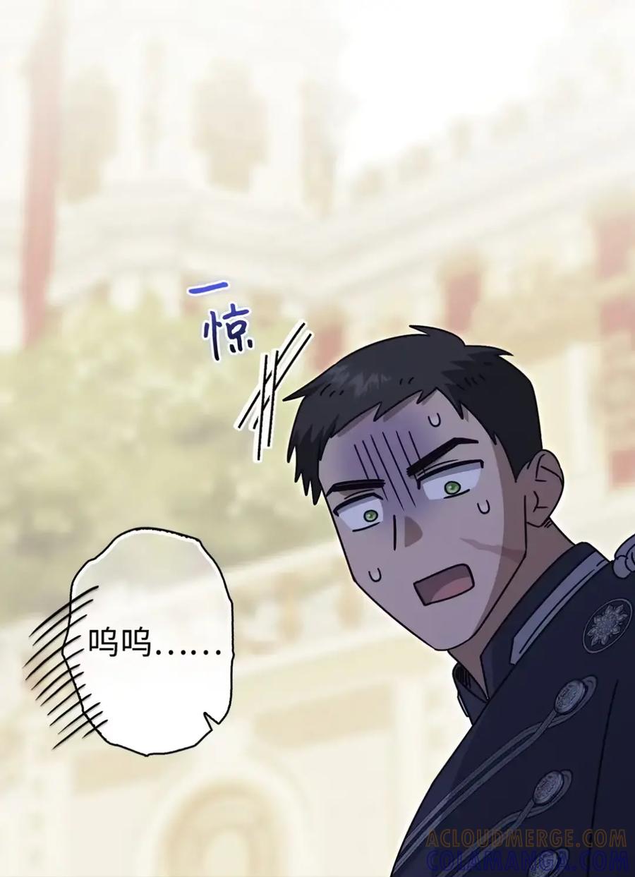 穿越成为暗黑系逆后宫小说男主们的小姨子 - 23 交朋友大失败 - 第76张图