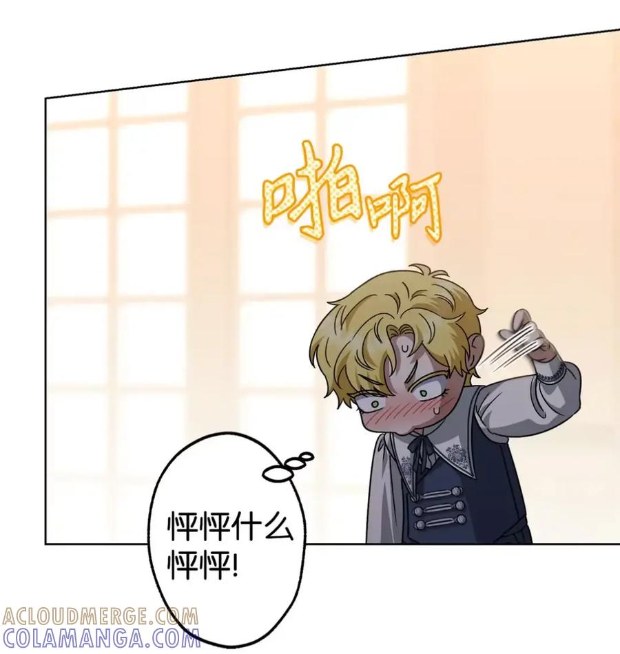 穿越成为暗黑系逆后宫小说男主们的小姨子 - 26 互相维护的两小只 - 第85张图