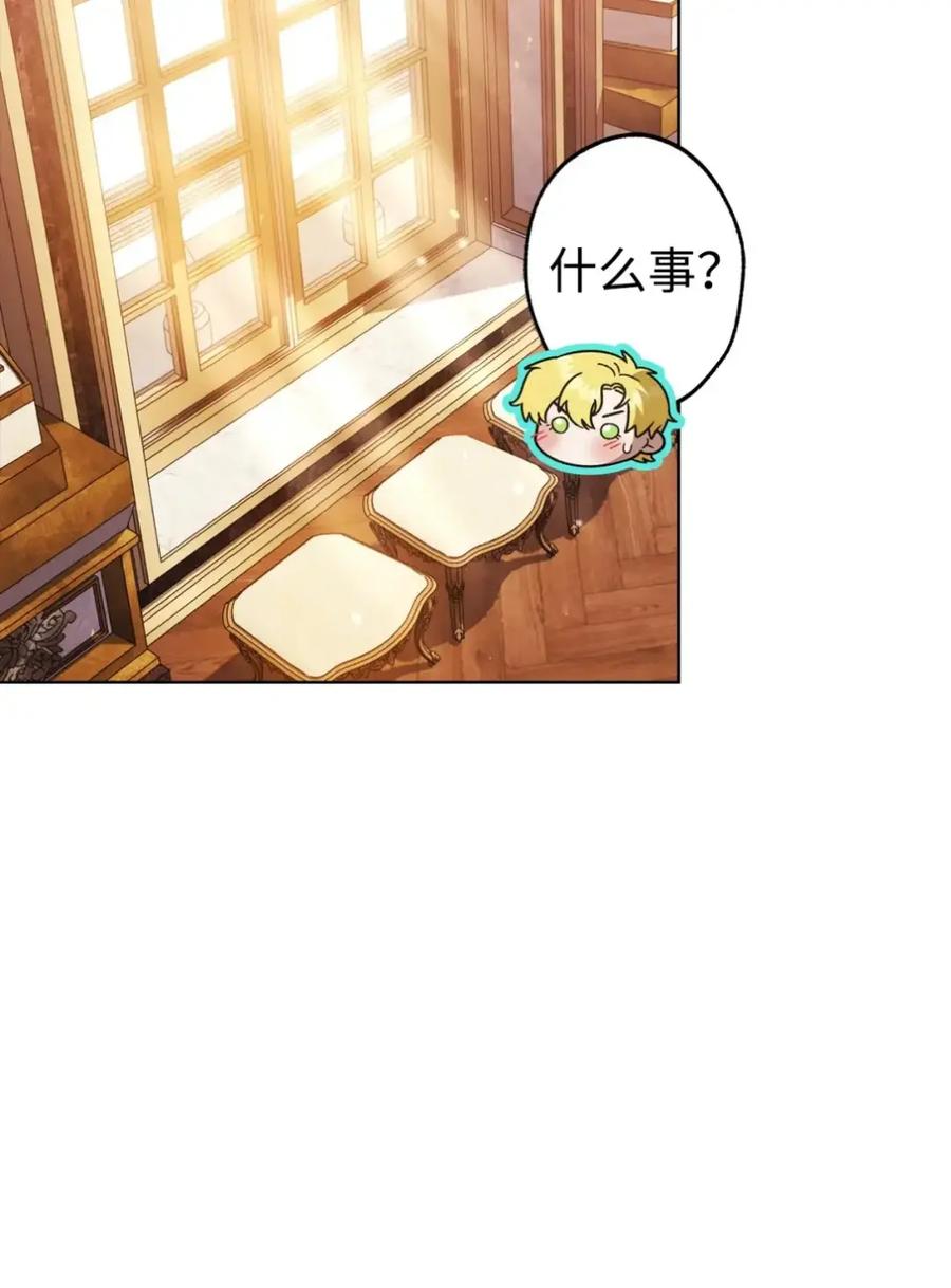 穿越成为暗黑系逆后宫小说男主们的小姨子 - 27 为什么要帮我 - 第58张图