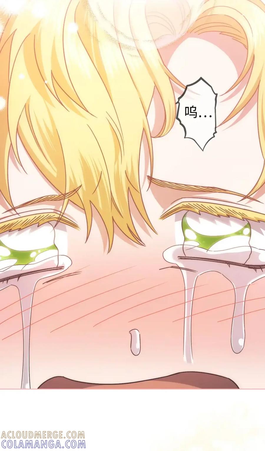 穿越成为暗黑系逆后宫小说男主们的小姨子 - 28 珍贵的孩子 - 第97张图