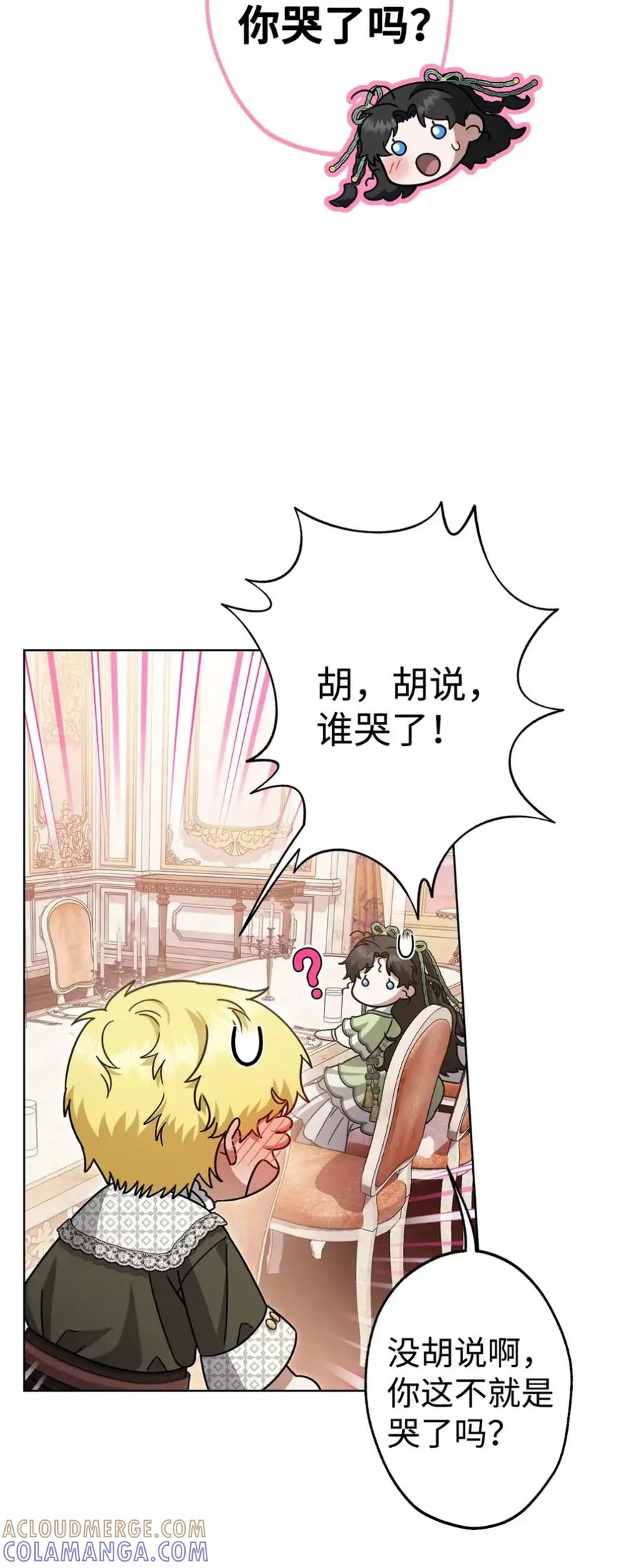 穿越成为暗黑系逆后宫小说男主们的小姨子 - 29 契约 - 第4张图