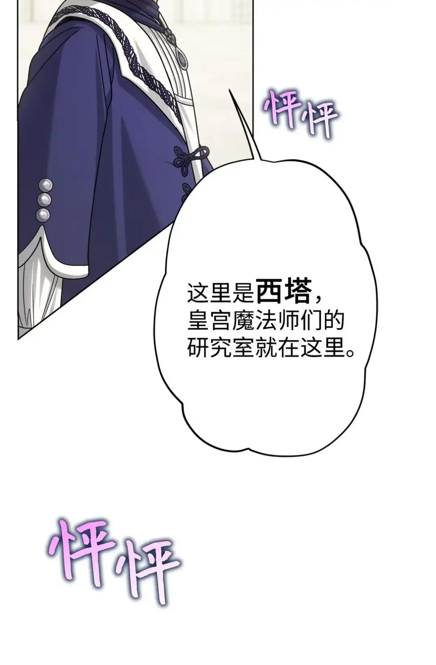 穿越成为暗黑系逆后宫小说男主们的小姨子 - 31 恐怖的高塔 - 第65张图