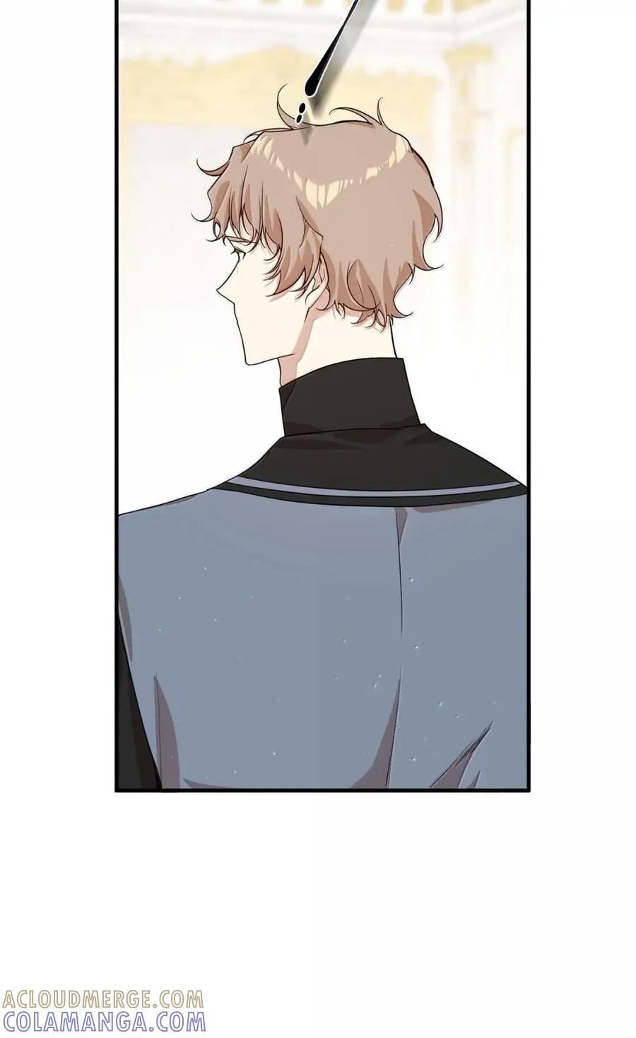 《虽然是魂穿游戏世界里女主的姐粉》76 伪善和同情 第25页